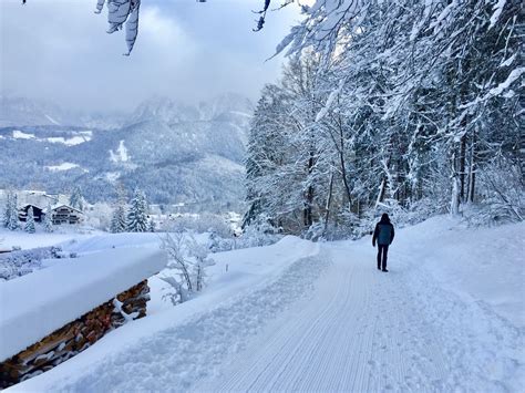 Königssee in winter and it's all white - This and That - Thuxle.click