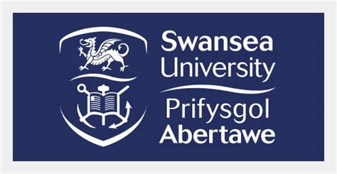 Swansea University