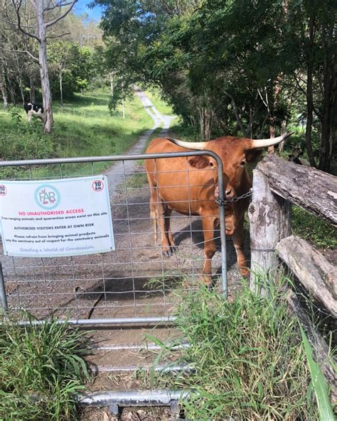 What happens on a Farm Animal Rescue tour? - Farm Animal Rescue