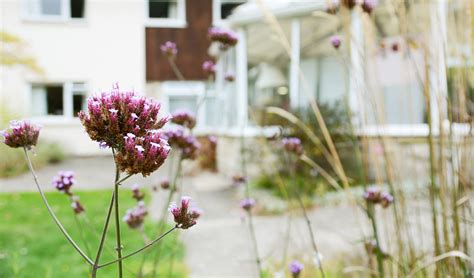 Elizabeth House carer shares poem for former resident - Care South