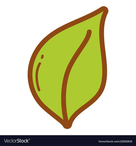 Cute leaf cartoon Royalty Free Vector Image - VectorStock