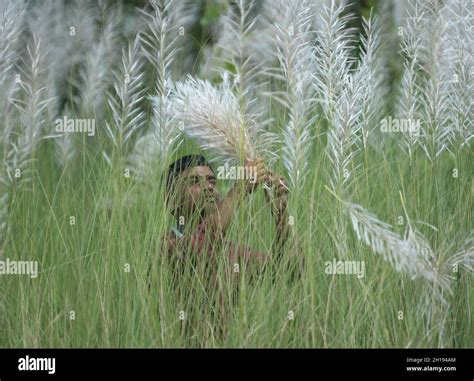 Playing with kash phool hi-res stock photography and images - Alamy