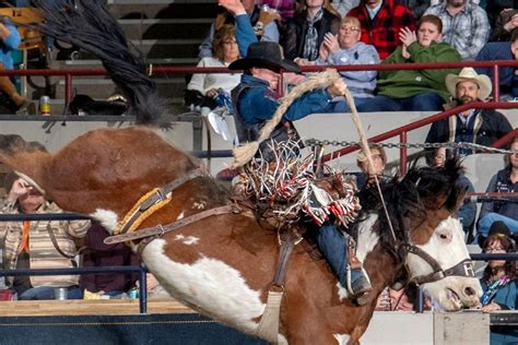 Official Field Set For Final Round of National Western Stock Show Rodeo ...