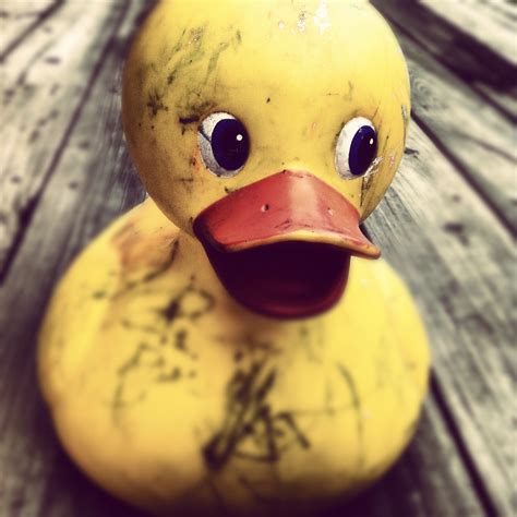 Free Images : play, retro, plastic, kid, old, cute, beak, nostalgia ...