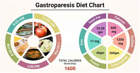 Diet Chart For gastroparesis Patient, Gastroparesis Diet chart | Lybrate.