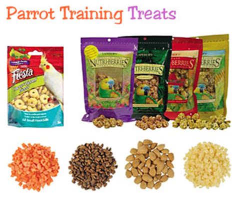 Perch Factory | Parrot Treats - Training Treats for Birds