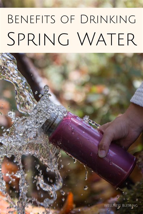 Benefits of Drinking Spring Water in 2024 | Spring water, Drinks ...