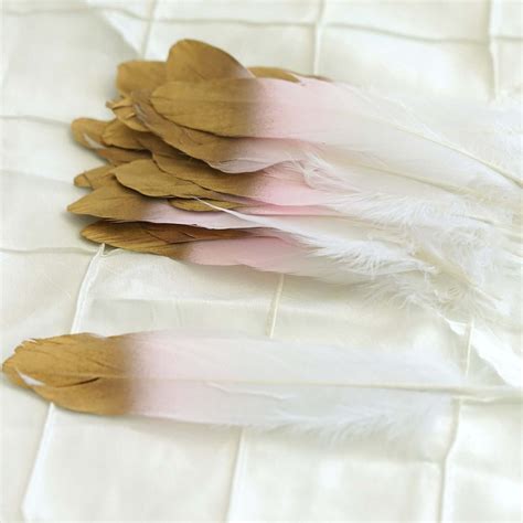 Dual Tone Real Goose Feathers - Craft Feathers for Party Decoration ...