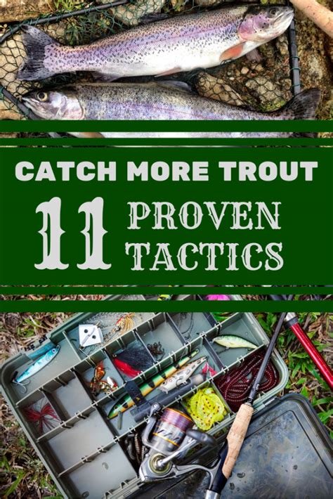 trout fishing guide how to catch fish | Trout fishing tips, Trout ...