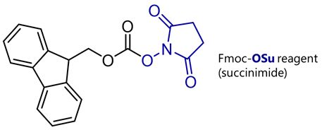 Fmoc Protecting Group: Fmoc Protection & Deprotection Mechanism – Total ...