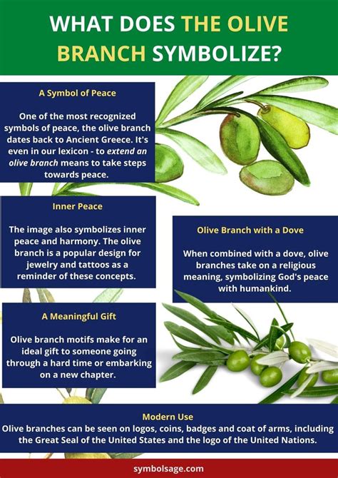 What Does the Olive Branch Symbolize? | Olive branch meaning, Olive ...