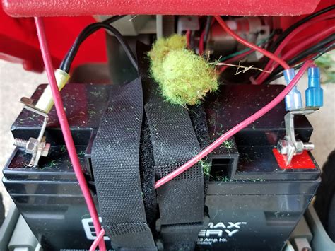 lobster tennis ball machine repair - Devil Webzine Pictures Library