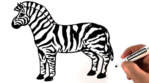 Zebra Outline Drawing