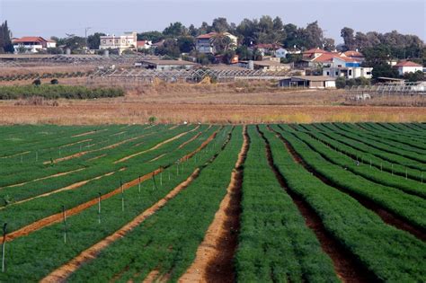 History Of Kibbutz In Israel