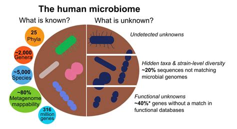 LA CONCEPCION DE LA CIENCIA: Cerebro e intestino: más cerca de lo que ...