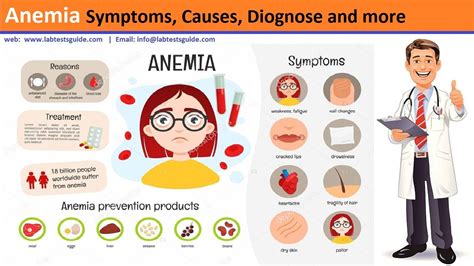 Anemia Symptoms, Causes, Types, Diagnoses and more | Lab Tests Guide