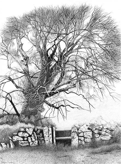 Pencil Drawing Trees Landscape - pencildrawing2019