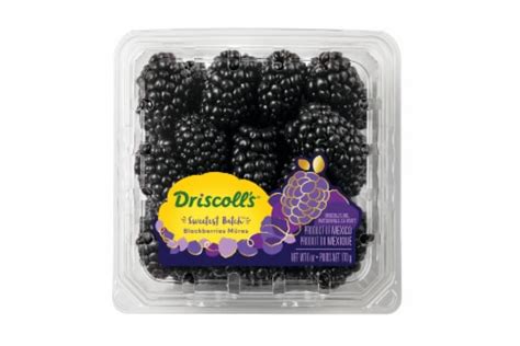 Driscoll's Sweetest Batch Blackberries, 6 oz - Harris Teeter