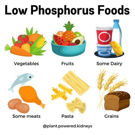 What Causes Low Phosphorus In Dogs