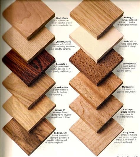 Pin by Scott Fraser on Charts & Info-Graphs | Woodworking tools storage ...