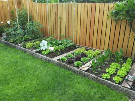 Famous Vegetable Garden Design Ideas Backyard 2023