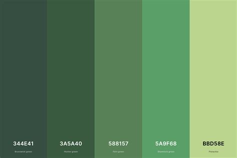 35+ Best Green Color Palettes with Names and Hex Codes – CreativeBooster