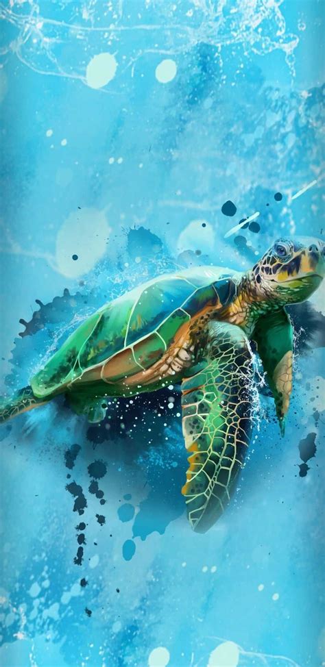 Turtle Wallpaper Discover more Background, Cartoon, Cute, Desktop ...