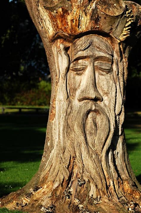 Wooden tree sculpture stock photo. Image of wood, park - 12686650