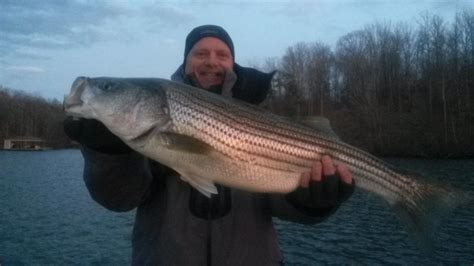 February 2020 Smith Mountain Lake Fishing Report by Captain Dale Wilson ...