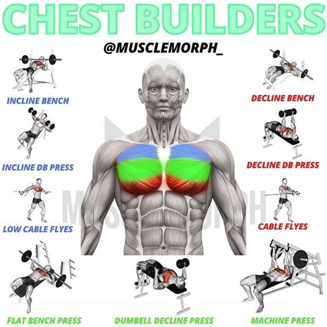 Build A Colossal Chest With This 3 Exercise Workout That Takes Under 10 ...