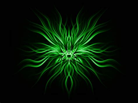 Vibrant Fern Green Abstract 8K Wallpaper - Download Now! by Hk3ToN