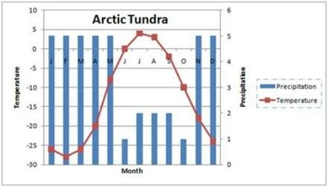 Tundra Rainfall