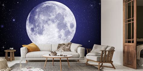 Stars and Moon Wallpaper | Wallsauce US