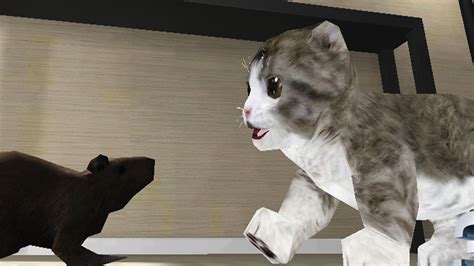 Cat Simulator 3D - virtual pet - little kitten fun gameplay for kids ...