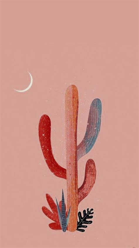 Aesthetic Cactus Profile Pic Wallpapers - Wallpaper Cave