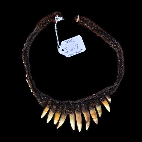 Crocodile Tooth Necklace - Collectible Tribal Artifacts