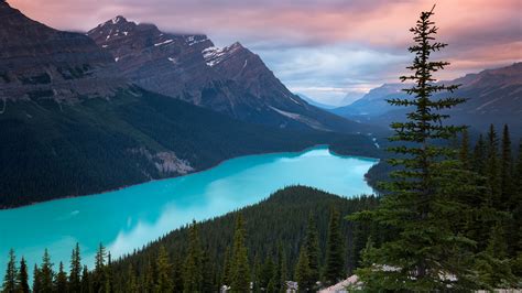 Peyto Lake Canada Mountains 4k Wallpaper,HD Nature Wallpapers,4k ...