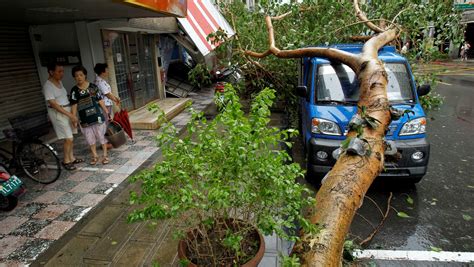 Powerful typhoon downgraded in China