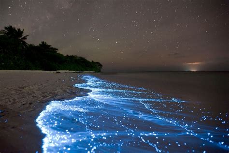 Glowing Maldives - Bioluminescence Beaches in The Maldives