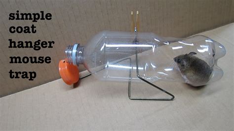 diy mouse trap bottle - Devon Starks