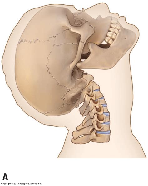 Axial and nonaxial ranges of motion of the Cervical Spine