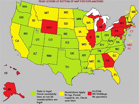 What States Allow Wolf Dogs