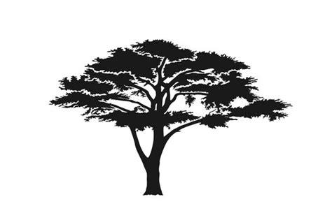 13,739 BEST African Tree Silhouette IMAGES, STOCK PHOTOS & VECTORS ...