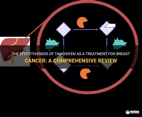 The Effectiveness Of Tamoxifen As A Treatment For Breast Cancer: A ...