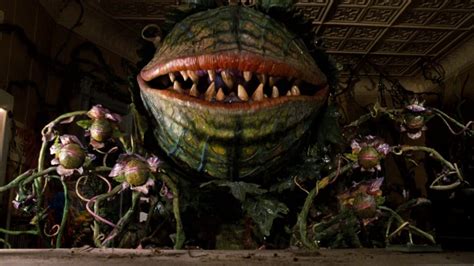 Little Shop of Horrors Audrey II Killer Plant