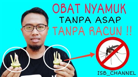 OBAT NYAMUK ALAMI BEBAS ASAP BEBAS RACUN - YouTube