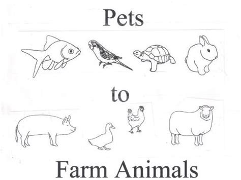 Animal Story Ideas Pets to Farm Animals | Teaching Resources