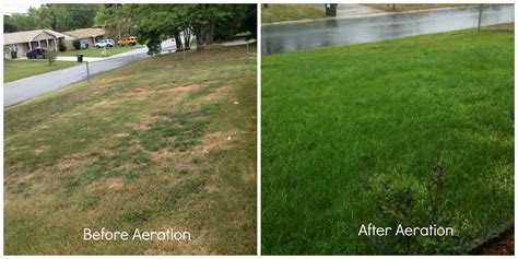 Before and After Lawn Aeration | Atlanta Pest Control