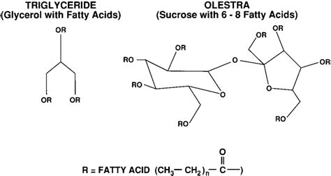 Diagrammatic structures of olestra, shown as an oc | Download ...