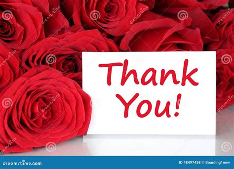 Thank You Card with Red Roses Flowers Stock Photo - Image of message ...